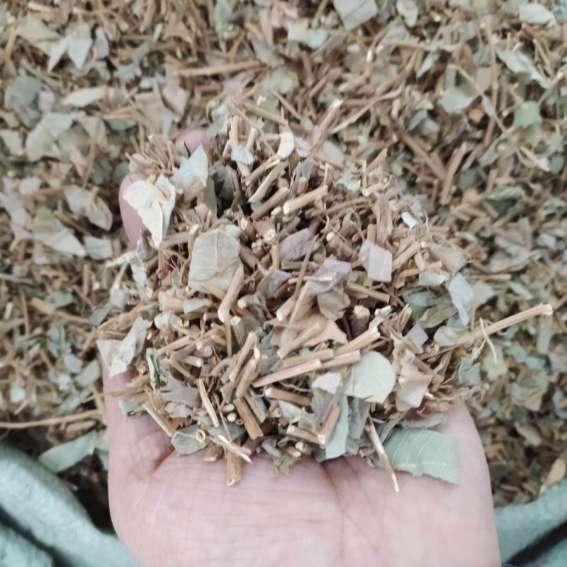 广金钱草产地直供支持线上交易可搭配多品种采购大货联系