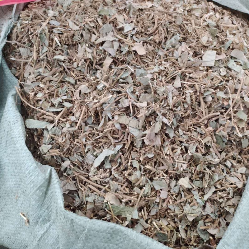 广金钱草产地直供支持线上交易可搭配多品种采购大货联系