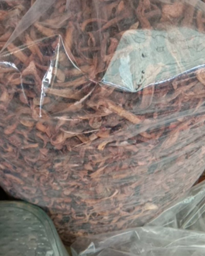 红蘑，铆钉菇，松伞蘑，肉蘑，鸡血蘑，自然晾晒，一手货源