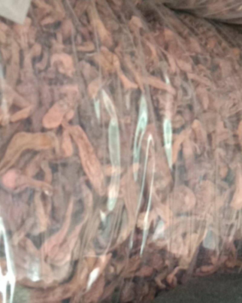 红蘑，铆钉菇，松伞蘑，肉蘑，鸡血蘑，自然晾晒，一手货源