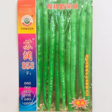 苏润858线椒种子绿色特长果线椒条椒种籽产量高抗病好