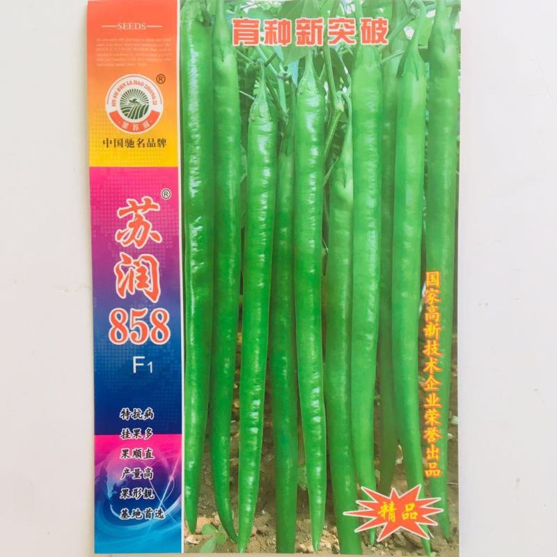 苏润858线椒种子绿色特长果线椒条椒种籽产量高抗病好