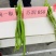 苏润858线椒种子绿色特长果线椒条椒种籽产量高抗病好