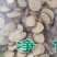 甘草生甘草甘草片另有野生甘草一公斤起批