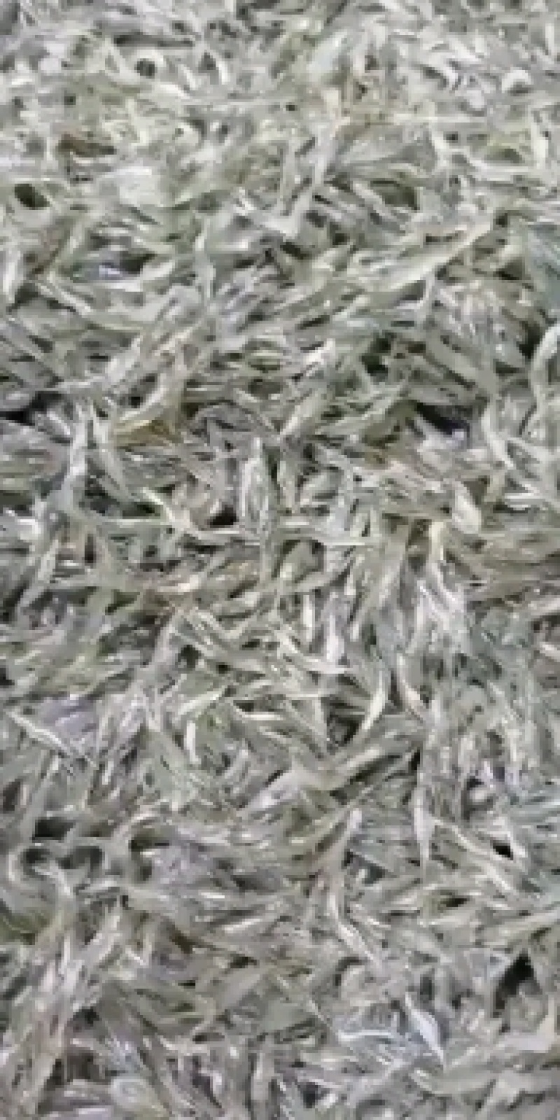 河虾，清水小河虾大量上市，补钙佳品，老少皆宜