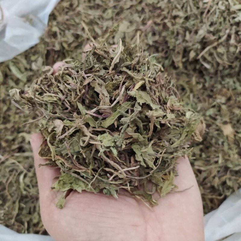 蒲公英各种规格可搭配多品种采购大货联系客服