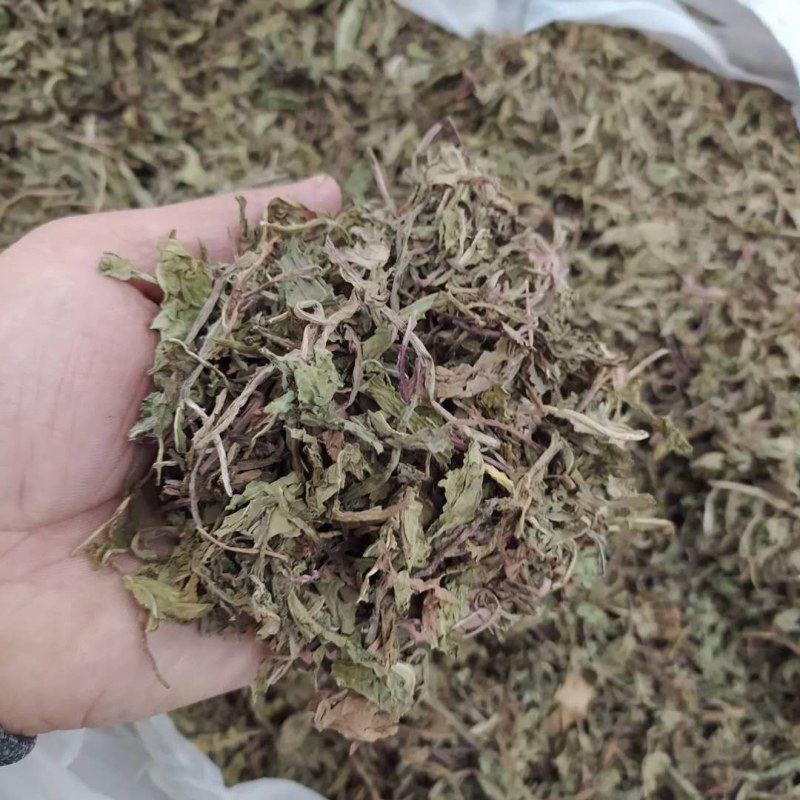 蒲公英各种规格可搭配多品种采购大货联系客服