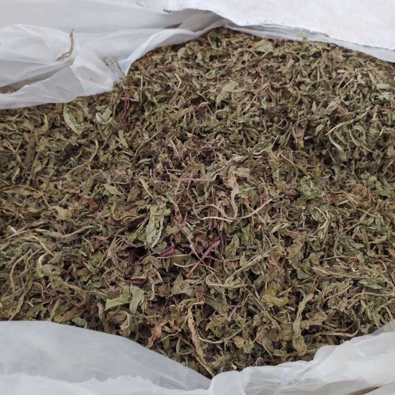 蒲公英各种规格可搭配多品种采购大货联系客服