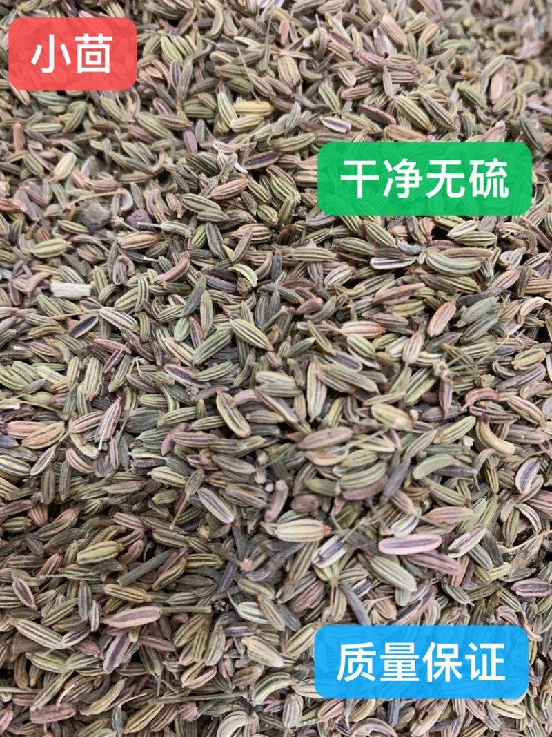 云南昭通天麻干货天然新鲜非特级天麻片正品
