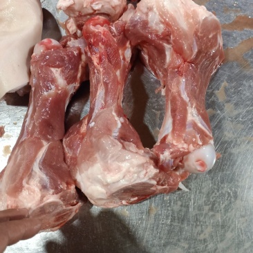 肉棒骨，百分之五十的肉，吃肉喝骨髓，前腿骨