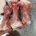 肉棒骨，百分之五十的肉，吃肉喝骨髓，前腿骨