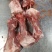 肉棒骨，百分之五十的肉，吃肉喝骨髓，前腿骨