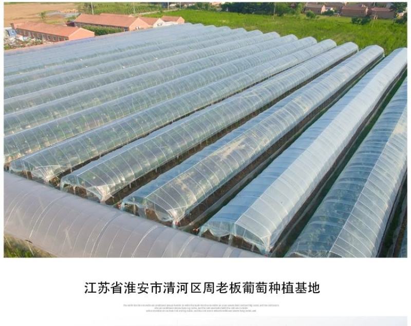 大棚膜PO大棚膜蔬菜大棚膜养殖大棚膜厂家直销尺寸可以定制