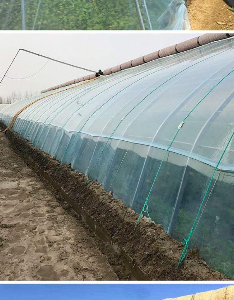 大棚膜PO大棚膜蔬菜大棚膜养殖大棚膜厂家直销尺寸可以定制