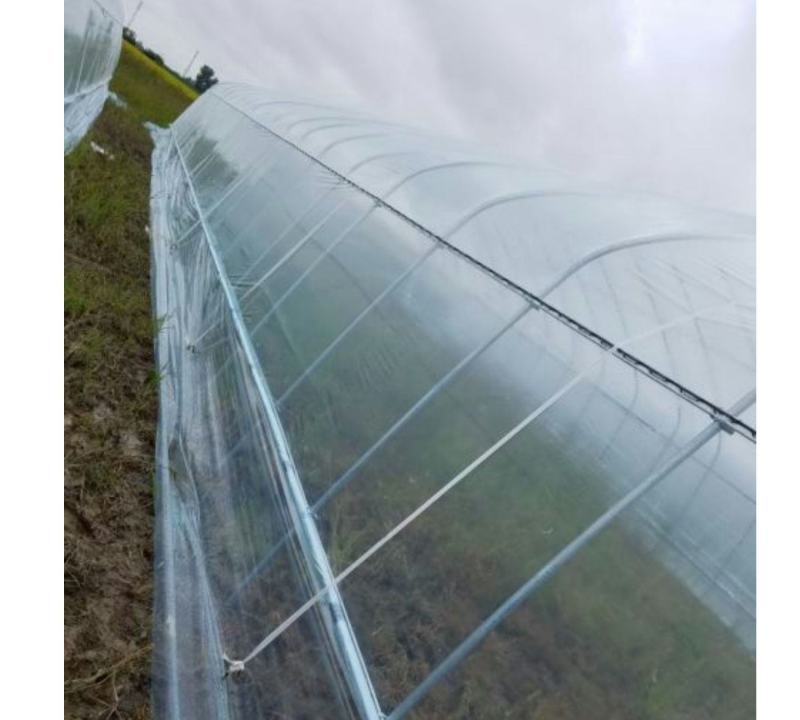 大棚膜PO大棚膜蔬菜大棚膜养殖大棚膜厂家直销尺寸可以定制