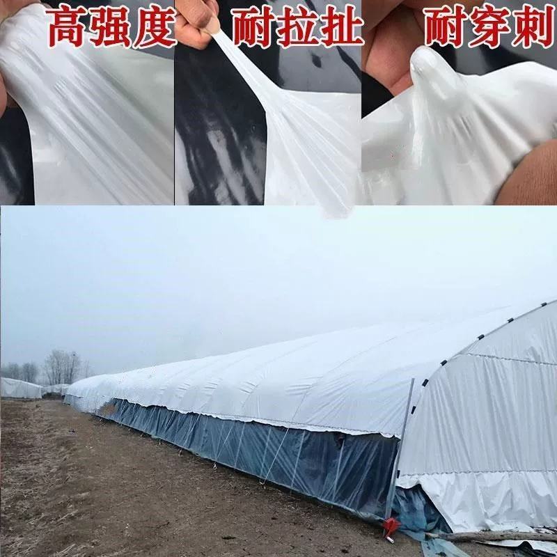 大棚膜PO大棚膜蔬菜大棚膜养殖大棚膜厂家直销尺寸可以定制