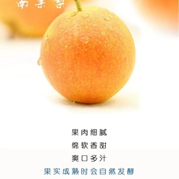南果梨酒原汁发酵果酒辽宁鞍山特产水果酒东北特产包邮散装酒