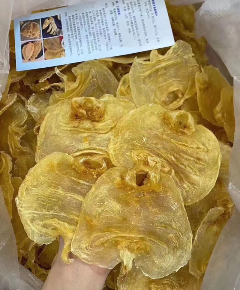 20头赤嘴鳘胶月子花胶鱼胶诚招代理一件代发