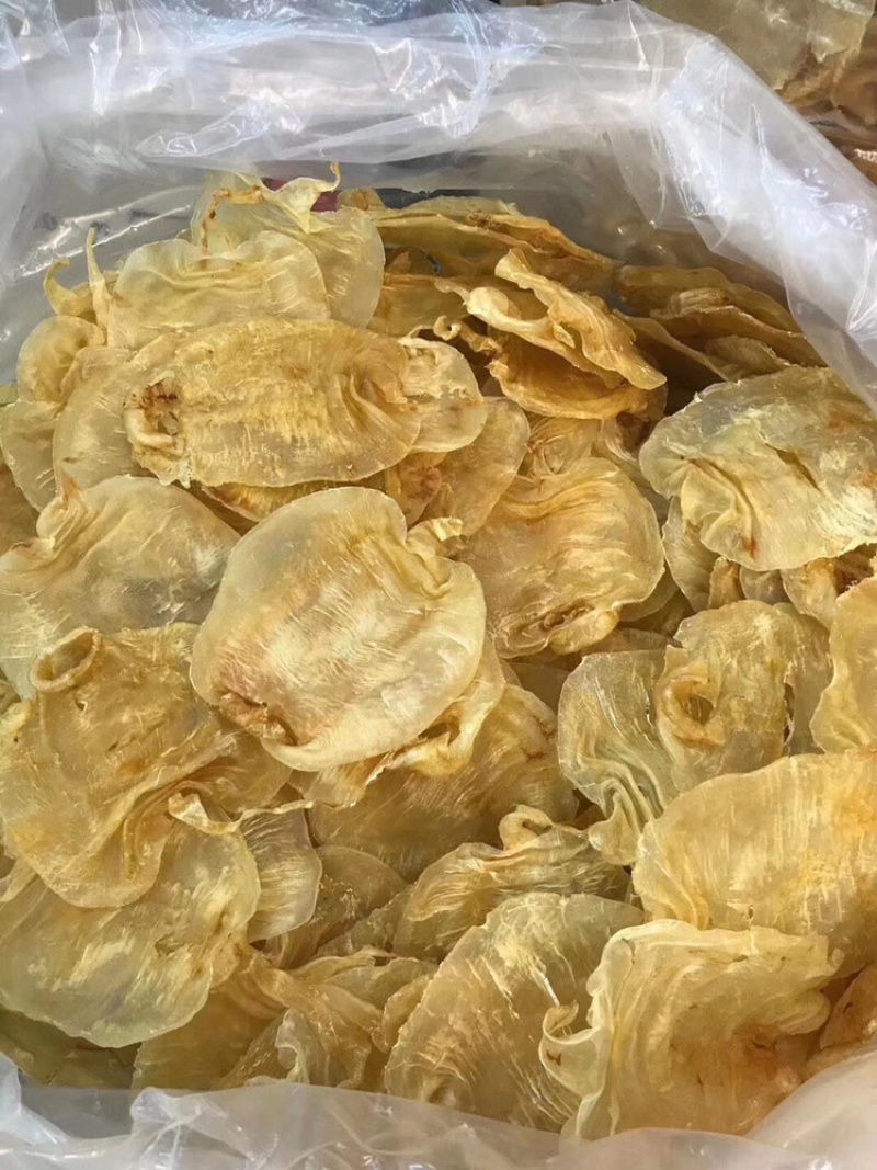 20头赤嘴鳘胶月子花胶鱼胶诚招代理一件代发