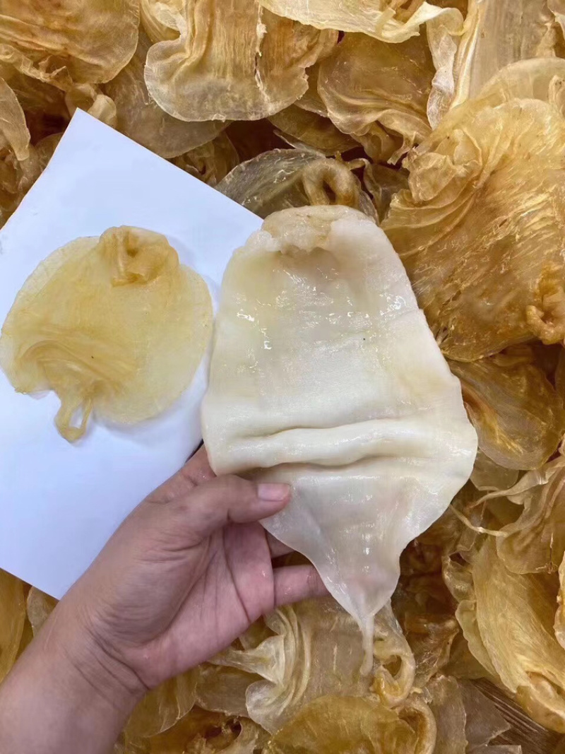 20头赤嘴鳘胶月子花胶鱼胶诚招代理一件代发