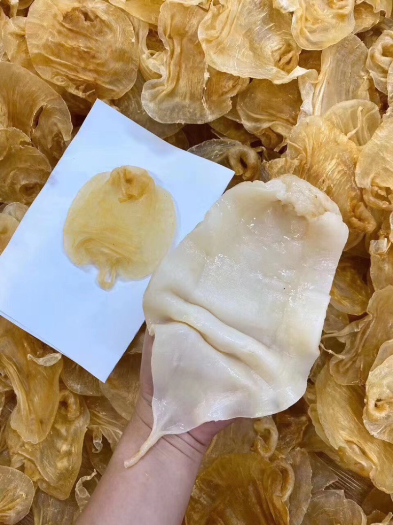 20头赤嘴鳘胶月子花胶鱼胶诚招代理一件代发