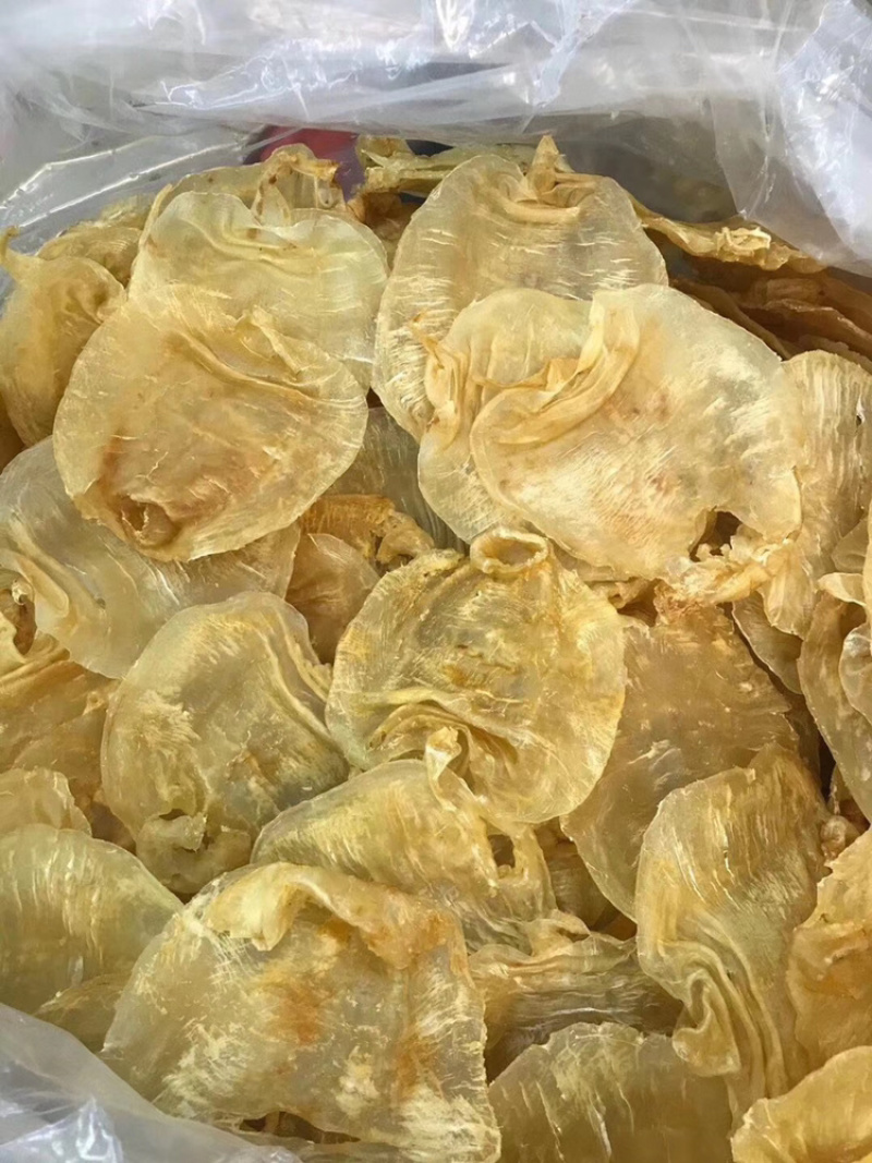20头赤嘴鳘胶月子花胶鱼胶诚招代理一件代发