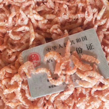 新加工磷虾米新加工磷虾米