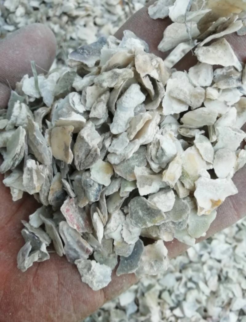 振兴药材批发供应牡蛎产地直销牡蛎常年大货批发零售