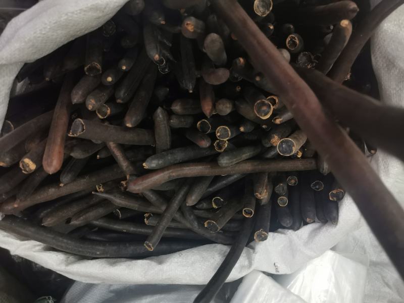 腊肠果便秘果大解果产地直销量大从优一手货源