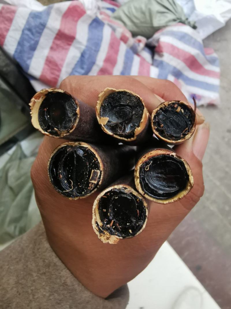 腊肠果便秘果大解果产地直销量大从优一手货源