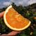 长虹脐橙橙子产地直购，保质保量，口感纯甜，欢迎订购