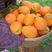 纽荷尔脐橙湖北橙子柑橘柑桔，保质保量，又大又甜