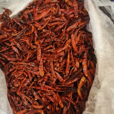 辣椒出口专用无硫磺一级帮