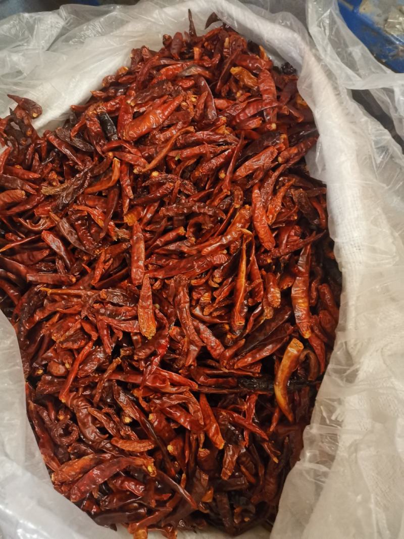 辣椒出口专用无硫磺一级帮