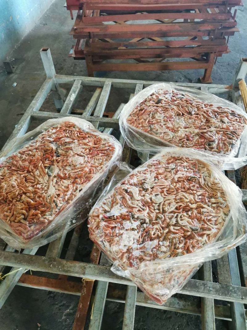 小肉鸡鸡肠，三黄鸡肠养鱼用质量好，纯干无水诚信经营
