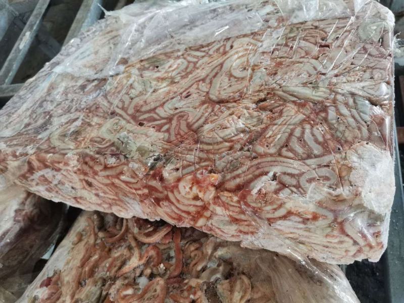 小肉鸡鸡肠，三黄鸡肠养鱼用质量好，纯干无水诚信经营