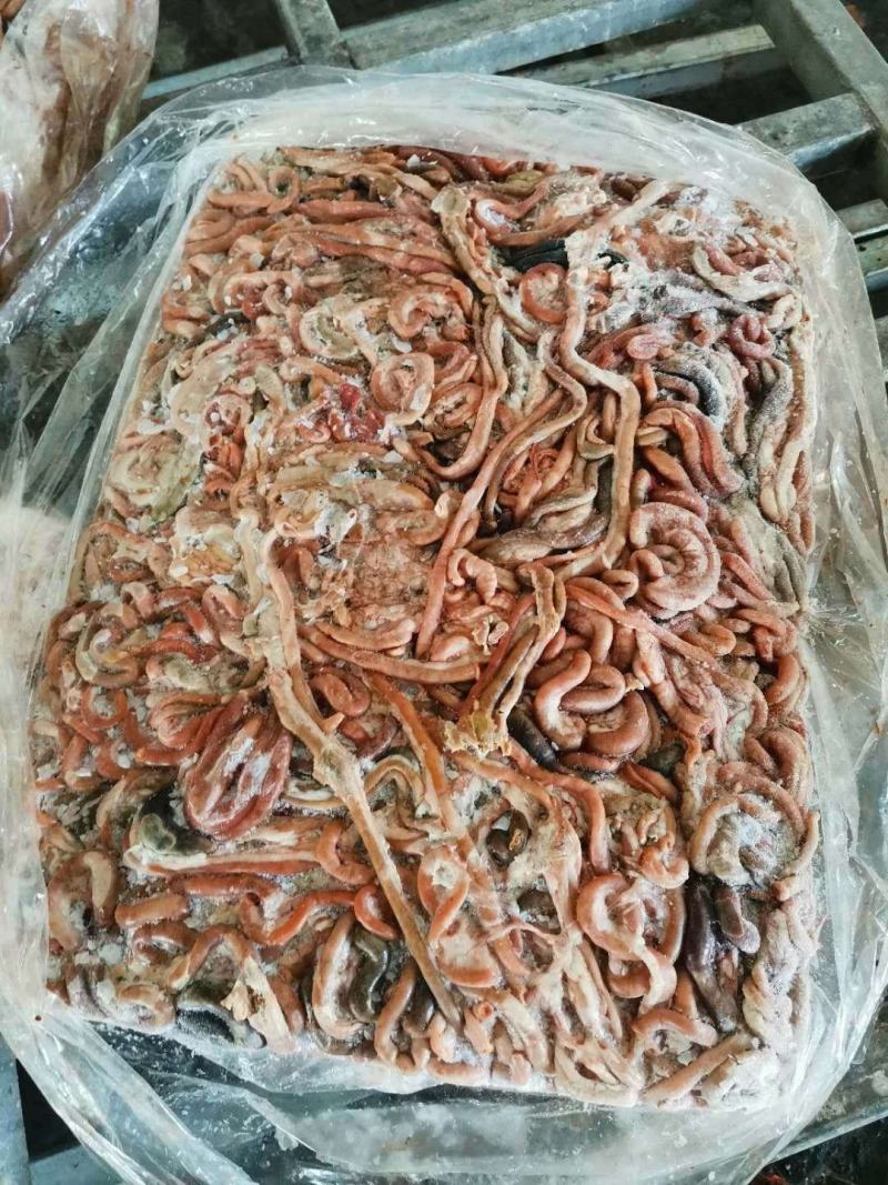 小肉鸡鸡肠，三黄鸡肠养鱼用质量好，纯干无水诚信经营