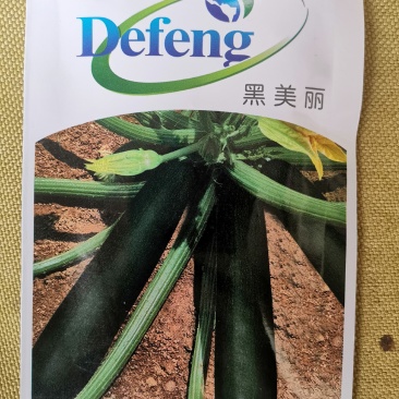 优质特色黑美丽金榜香蕉西葫芦种子