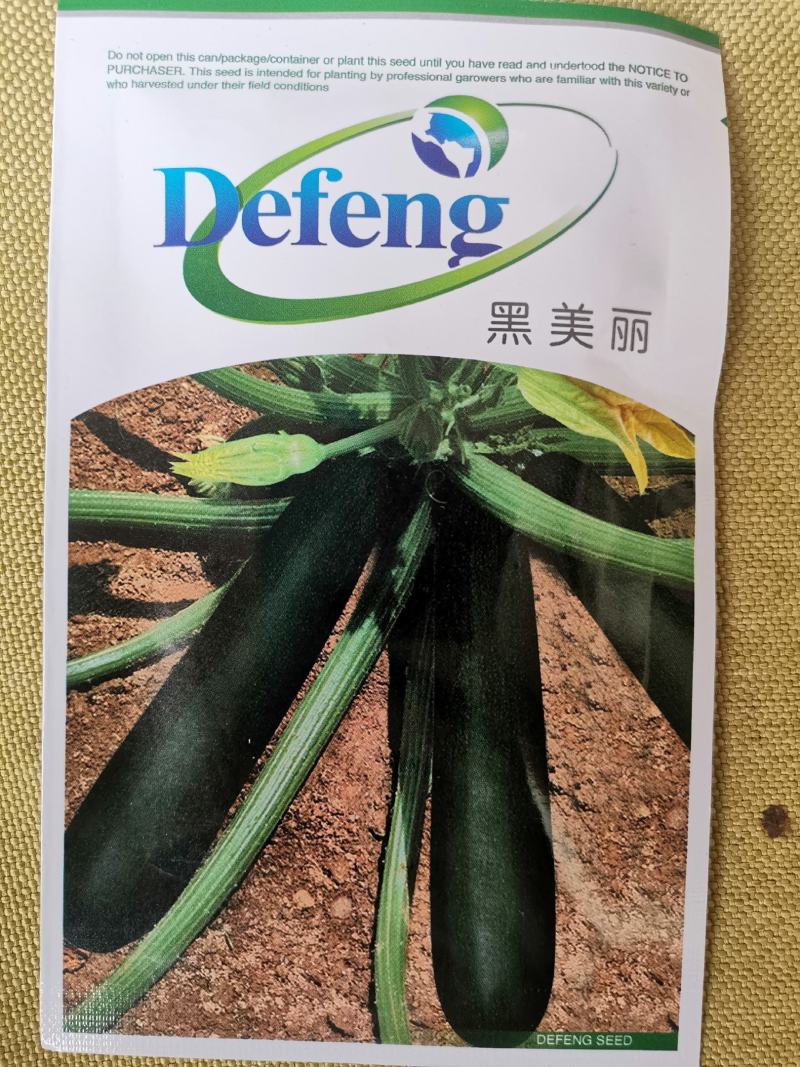 优质特色黑美丽金榜香蕉西葫芦种子