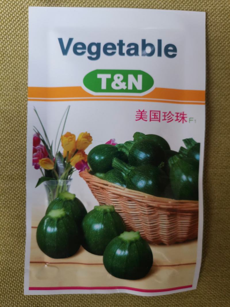 圆球珍珠碧珠球形西葫芦种子表皮深绿色抗性好