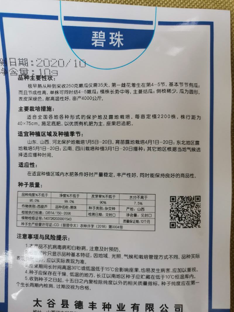 圆球珍珠碧珠球形西葫芦种子表皮深绿色抗性好
