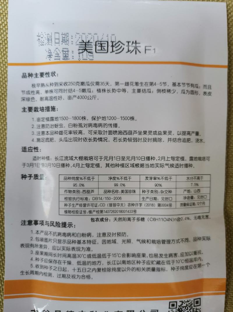 圆球珍珠碧珠球形西葫芦种子表皮深绿色抗性好