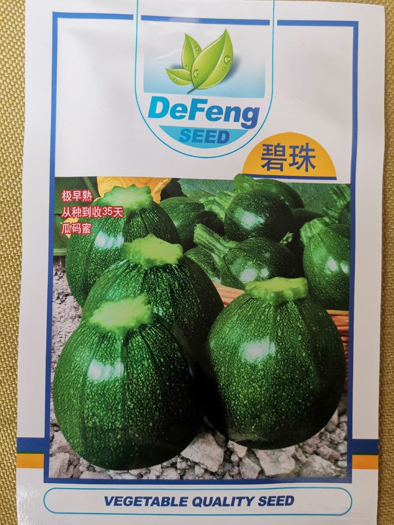 圆球珍珠碧珠球形西葫芦种子表皮深绿色抗性好