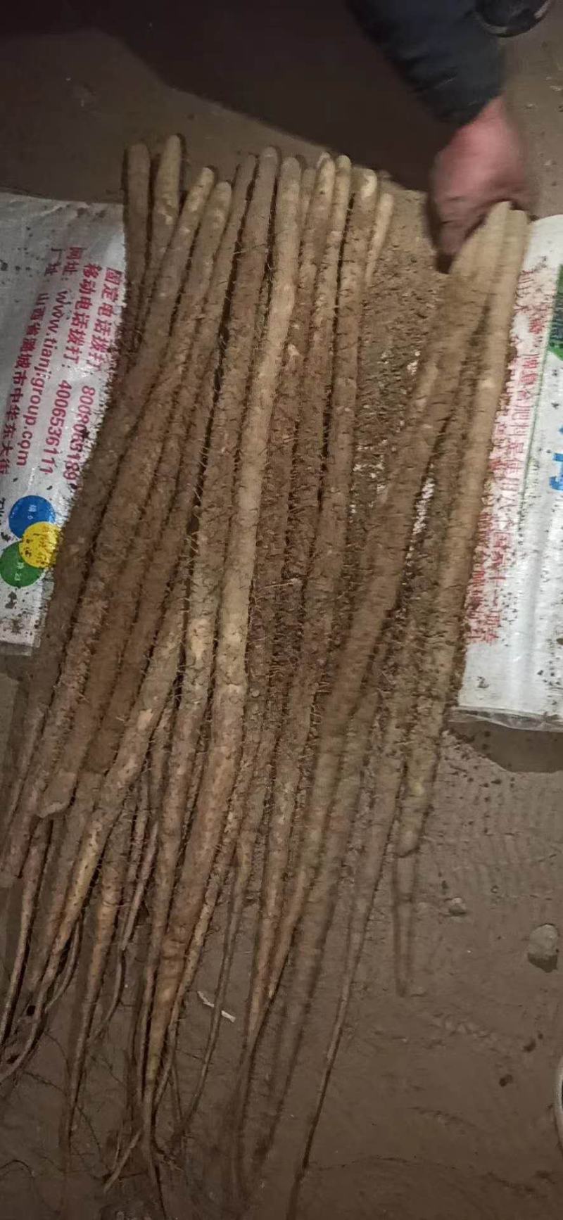 山药，优质小白嘴山药，产地直发，量大从优，诚信经营