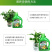 中古营养液植物通用型土水培盆栽花卉绿萝植富贵竹发财液体花