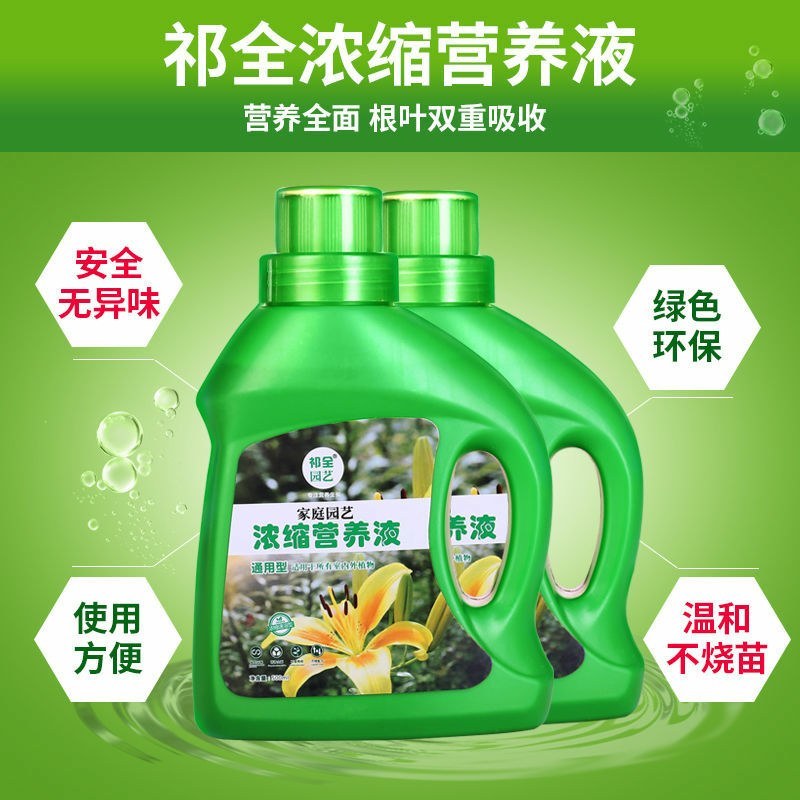 中古营养液植物通用型土水培盆栽花卉绿萝植富贵竹发财液体花
