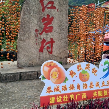 广西脆柿清甜脆口润肺