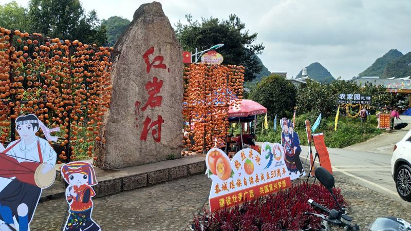 广西脆柿清甜脆口润肺