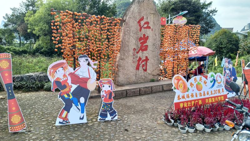 广西脆柿清甜脆口润肺