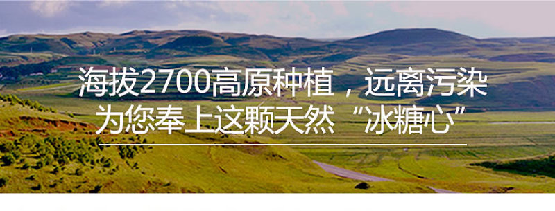 云南丽江小凉山丑苹果蜂蜜冰糖心苹果宁蒗苹果优选品质